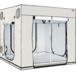 homebox ambient q 240+ (240 x 240 x 220cm)