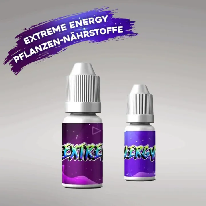 bonsanto® konzentrat “extreme energy”