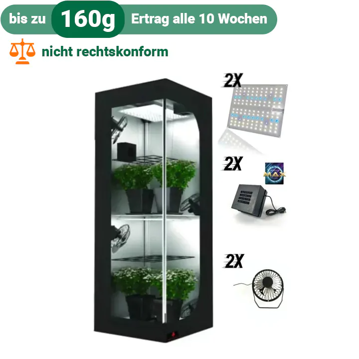 doppelter ertrag – 60x60x160cm bonsanto® komplettset – 2 etagen grow box