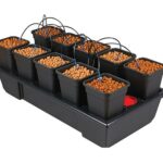 atami wilma small wide 10x6,5l | hydroponisches system | 120x60x20cm